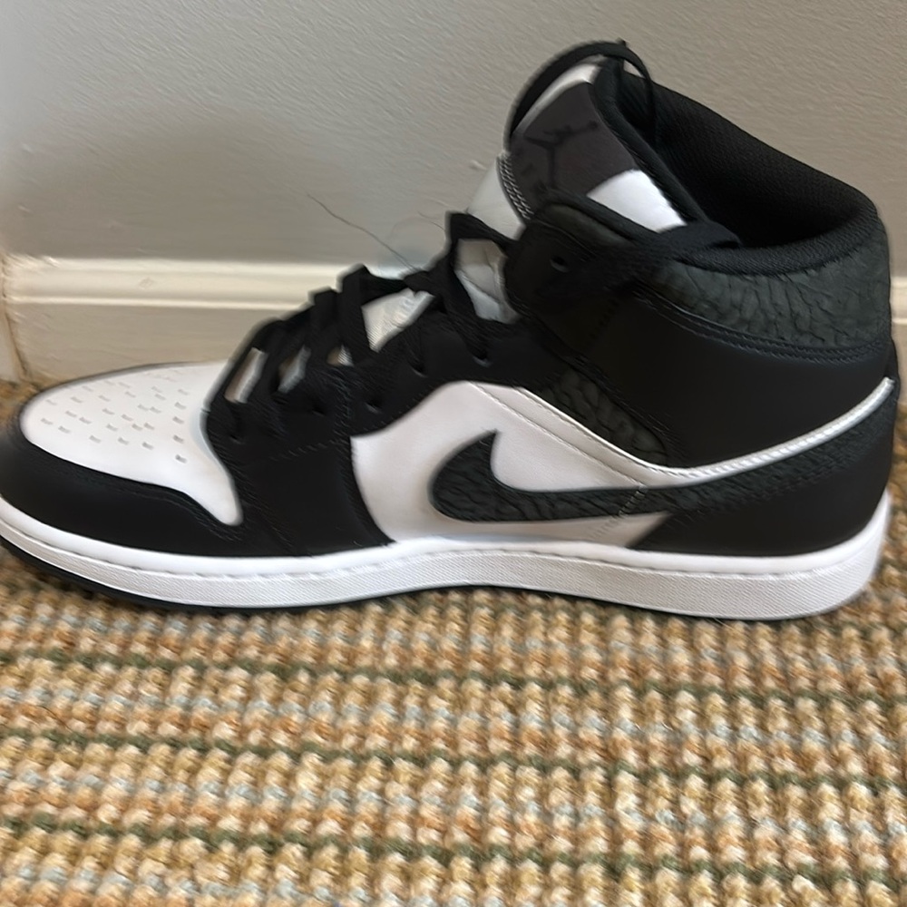 Nike Air Jordan men’s size 12